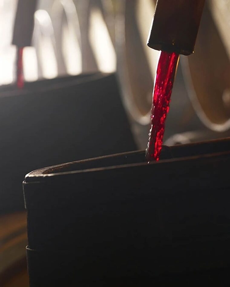 Bodegas Muga Vineyard Red Wine from the Barrel for El Pirata London Tapas Bar Mayfair