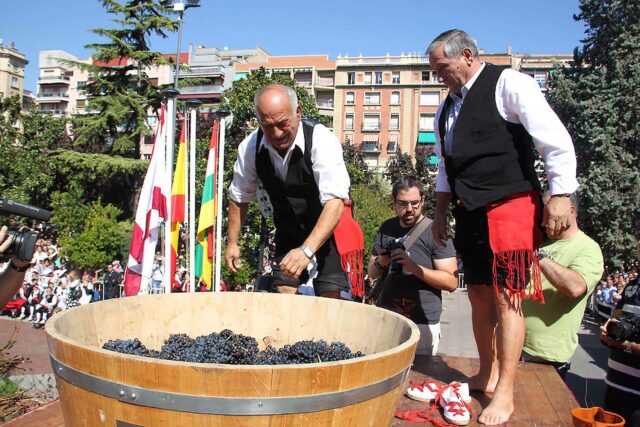 Two men in traditional costumes crushing grapes with bare feet in a large wooden barrel at the Rioja Wine Harvest Festival
