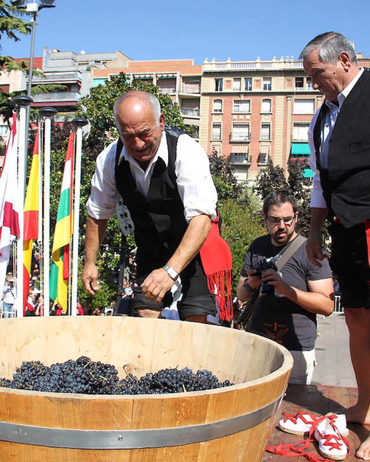 Two men in traditional costumes crushing grapes with bare feet in a large wooden barrel at the Rioja Wine Harvest Festival